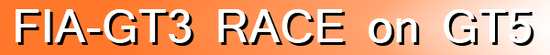 racetitle2