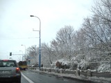 IMG_9181
