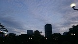 DSC_3046