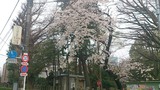 IMG_20140419_093033
