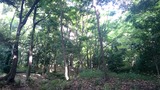 20170506_153405885