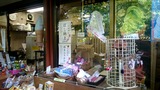20170506_152744820