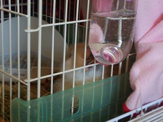05e1a8f1.jpg