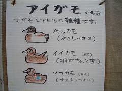 3a65291c.jpg