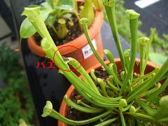 4e0b6907.jpg