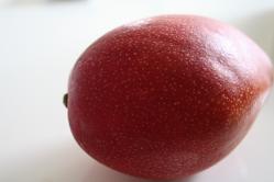 53c833d4.jpg