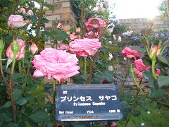 583b087f.jpg
