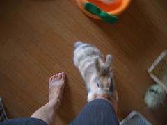 725a00a9.jpg
