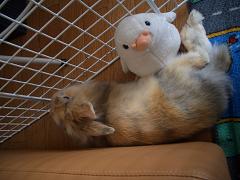 a27493a7.jpg