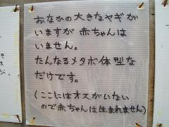 ed3cc24a.jpg