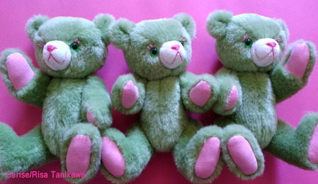 macaronbear 12