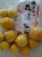 ’16-4塩レモン1