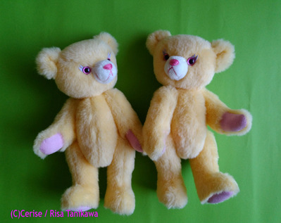 macaronbear 18
