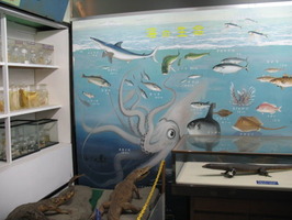 �����Τդ�����44