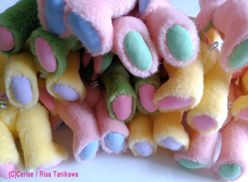 macaronbear 11
