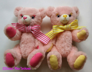 macaronbear 20