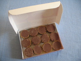 cebu chocolate