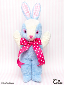 CA0116-SXPK1@2x