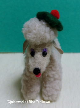 poodle_baige2