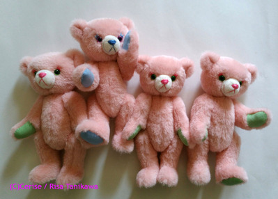 macaronbear 17