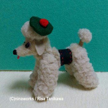poodle_baige1