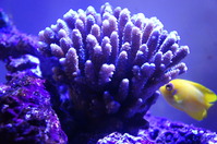 DSC00201