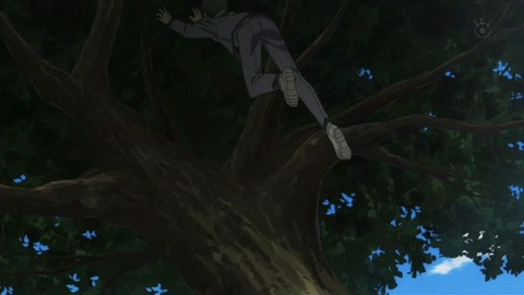 443