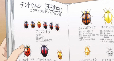 (307)