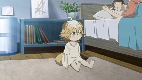 511