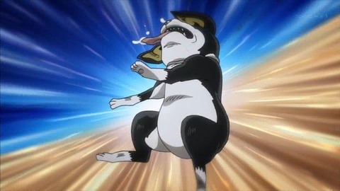 163