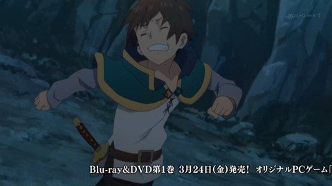 291