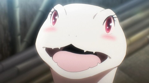 (253)