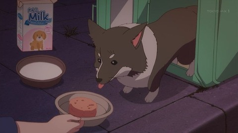 (234)