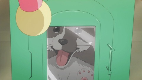 (241)