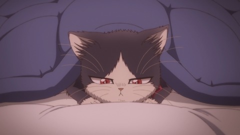 (85)