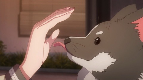 (247)