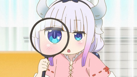 241