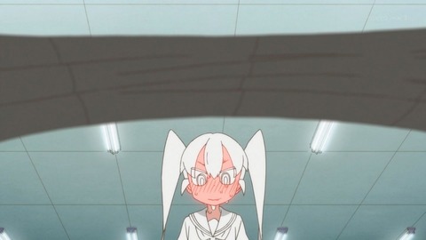 (86)