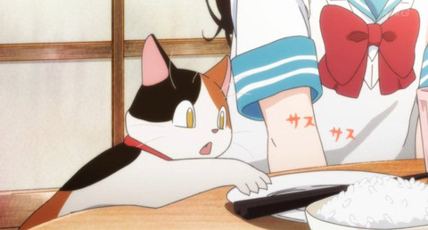 (312)
