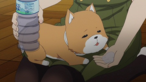 329