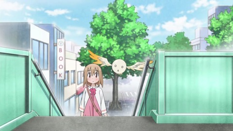 244