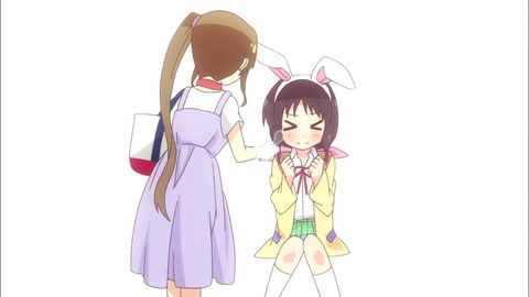 241