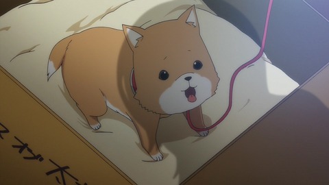 327