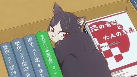 (106)