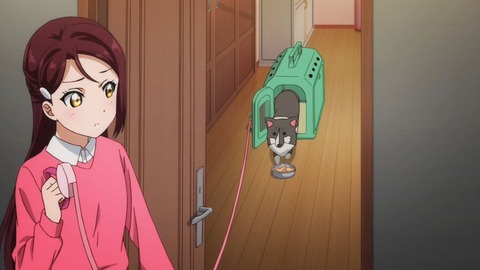 (239)