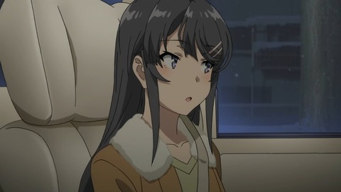 (101)
