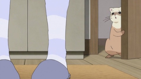 61