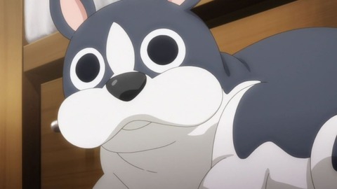 241