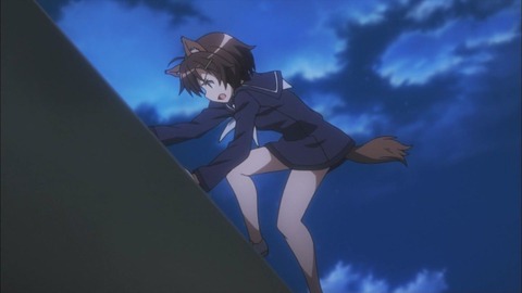 293