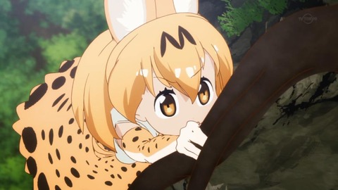 46